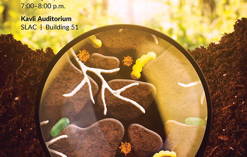 Poster illustration of public lecture featuring Jocelyn Richardson