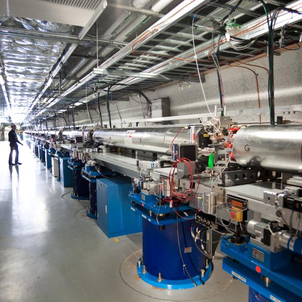 Undulator Hall