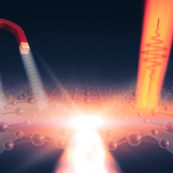 Exposing the material to a magnetic field